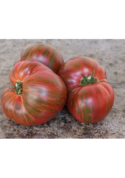 Striped Oxheart Fire Etli Beef Kalp Şeklinde Domates Tohumu 10 Tohum