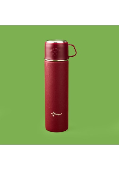 Bardaklı Termos Seti - Bordo - 500 Ml Çok Renkli