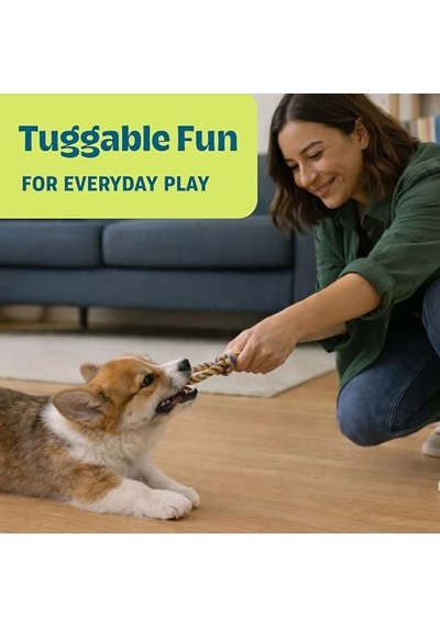Petstages Küçük Köpekler Ve Diş Çıkarma Yavruları İçin Orka Diş Çiğneme Oyuncakları - 3'lü Paket