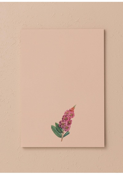 The Mia Art Line Mini Notluk Prelude 15 X 21 Cm 40 Yaprak