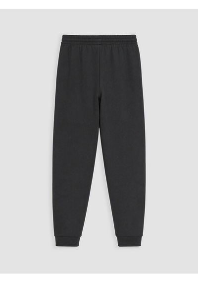 Lcwaıkıkı Classic Yeşil Regular Fit Erkek Jogger Eşofman Altı