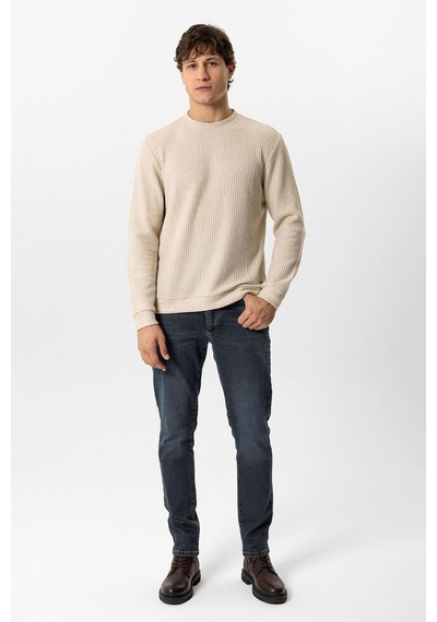 Backandbond Bej Regular Fit Desenli Bisiklet Yaka Sweatshirt