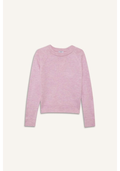 Defacto Regular Fit Bisiklet Yaka Basic Düz Soft Touch Yumuşak Triko Kazak D8678ax26sppn354 Pembe-pn354