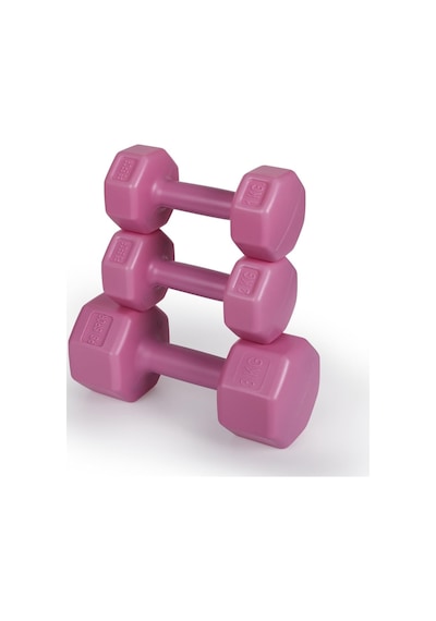 Psspor 3 Set Pembe Renk Dambıl Seti 2 Adet 1kg - 2 Adet 2kg - 2 Adet 3kg Gönderim Yapılmaktadı