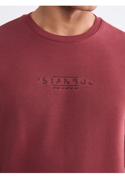Lcwaıkıkı Classic Kırmızı Bisiklet Yaka Baskılı Erkek Sweatshirt