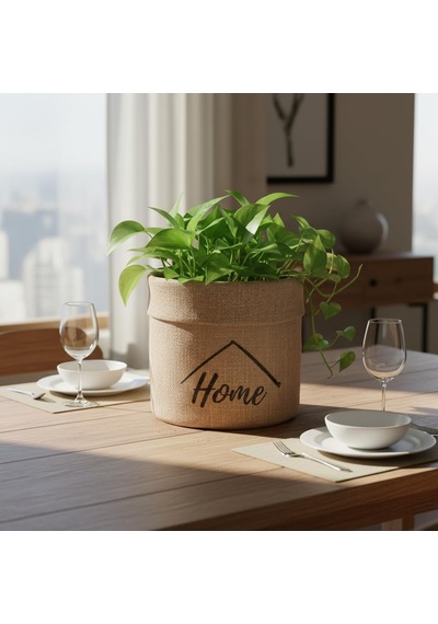 Lexroo "home" Mini Jüt Saksı Kılıfı Krem Renk Katlanabilir Kumaş Bitki Sepeti Standart
