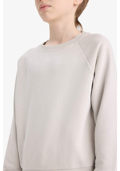 Defacto Erkek Çocuk Bisiklet Yaka Basic Düz Sweatshirt E8415a825augr94 Gri