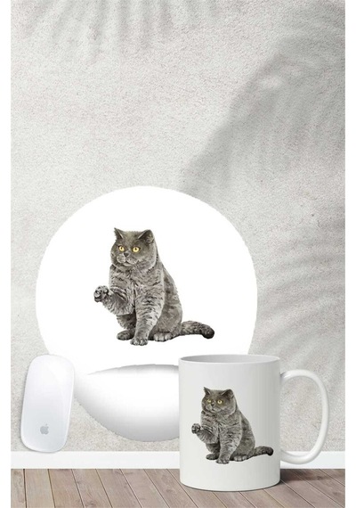 British Shorthair Desenli Bilek Destekli Mouse Pad Kupa Seti Mousepad