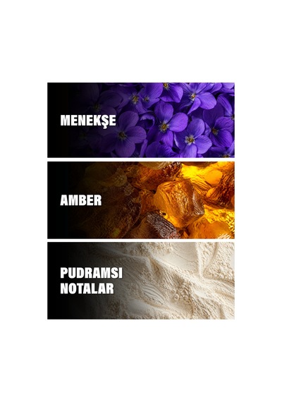 Purple 50 Ml Kadın Parfüm Oryantal