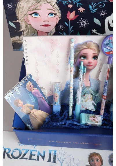 Dekomus Lisanslı İle Gıft Box Özel Kutulu "elsa'nın Mucizesi Kırtasiye Seti" Çıtçıt Dosya,pipetli Bardak,silgi,not Defteri Altın