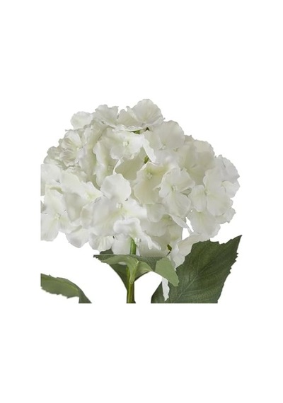 Concept Single Ortanca Çiçek Beyaz 54cm