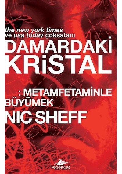 Damardaki Kristal: Metamfetaminle Büyümek - Nic Sheff - Pegasus