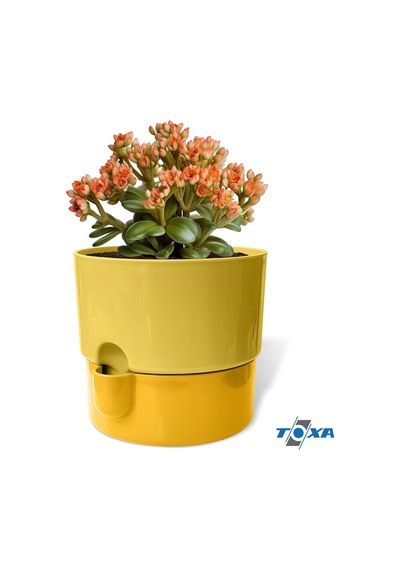 Dora Saksı Tabaklı Çiçek Kaktüs Saksısı Parlak Plastik Saksı 1 Adet, Sarı, 2l, 16cm Diğer
