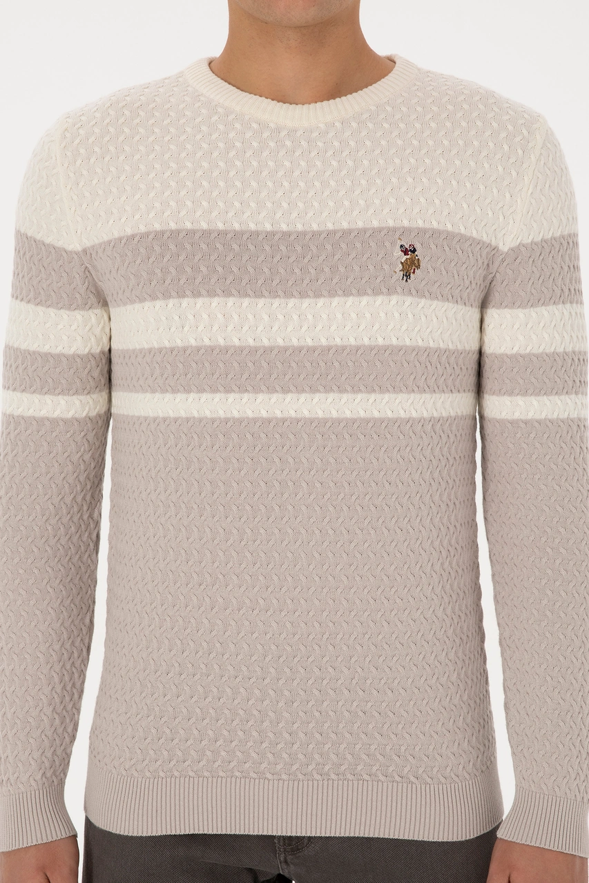 U.S. Polo Assn. Erkek Slim Fit Bisiklet Yaka Taş Kazak 50308460-VR049