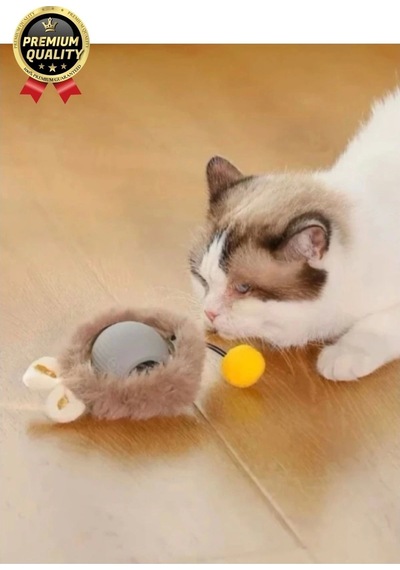 Özel Üretim Yumuşak Küçük Boyutlu Şarj Edilebilir Etkileşimli Eğlenceli Yuvarlanan Kedi Top Oyuncağı