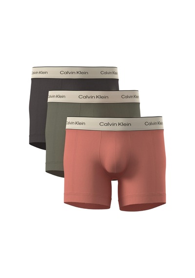 Calvin Klein Erkek Trunk 3'lü Paket Boxer-15106 Çok Renkli