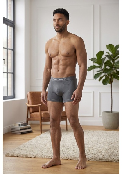 Fit Women Erkek Rahat Esnek Seamless 3 Lü Gri Boxer