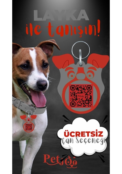 Petjoo 22.Layka Kırmızı-Gri Qr'lı Köpek Künyesi