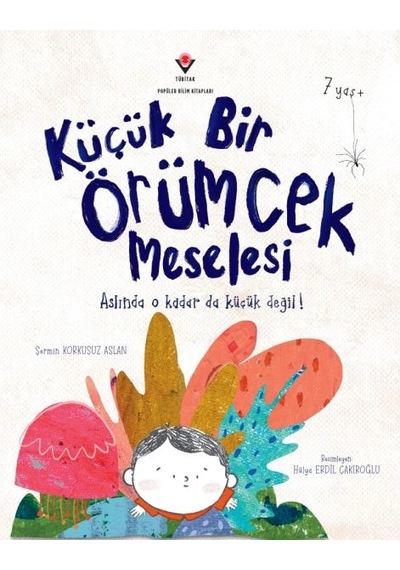 Küçük Bir Örümcek Meselesi