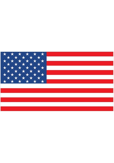 Saray Amerika Bayrağı 30X45