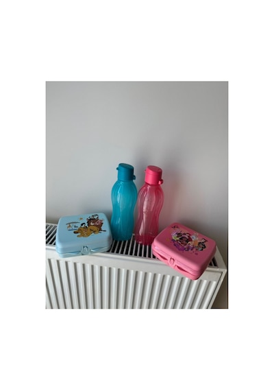 2 Adet 500 Ml Suluk Ve 2 Adet Sandviç Kutusu. Pembe
