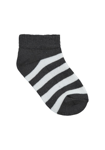 Civil Boys Basic Çemberli 5'li 3-11 Yaş Erkek Çocuk Patik Çorap Standart