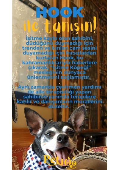 Petjoo 7.Hook Sarı-Mavi Qr'lı Köpek Künyesi