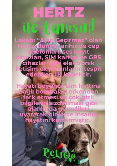 Petjoo 26.Hertz Yeşil-Pembe Qr'lı Köpek Künyesi