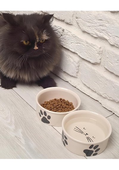 Aee 2'li Doğal Hijyenik Fırınlanmış Seramik Kedi Mama Ve Su Kabı Seti