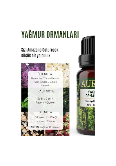 AURAN Yağmur Ormanları Esansiyel Uçucu Koku Yağı Buhurdanlık Yağı