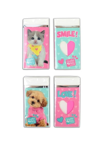 4 Adet Studio Pets Silgi Pt-131