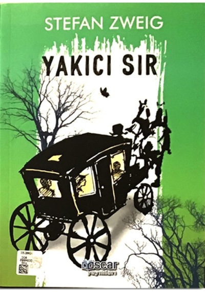 En Sürükleyici Aşk Romanları Seti 10 Kitap