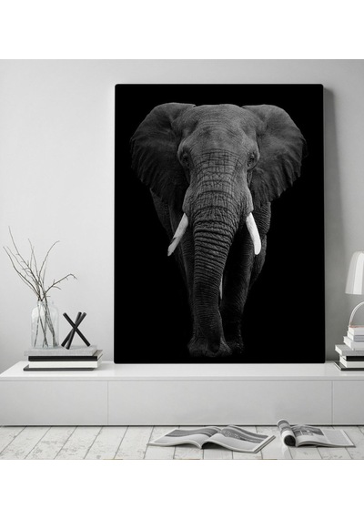 Bk Home Fil Tasarımlı Kanvas Tablo 50X70Cm-1 (496789341)