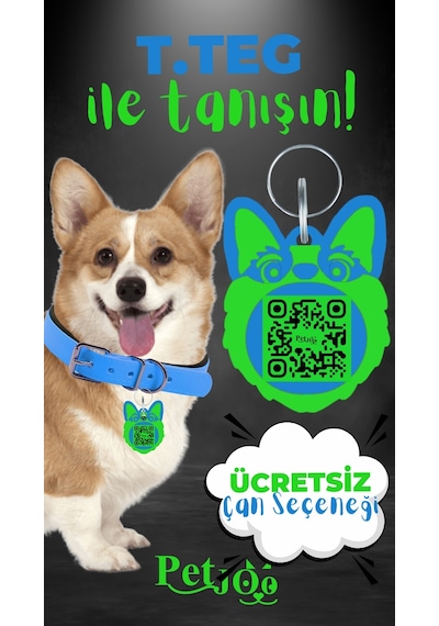Petjoo 15.T.Teg Yeşil-Mavi Qr'lı Köpek Künyesi