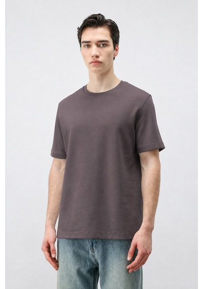 Antioch Regular Fit Basic Erkek T-shirt Koyu Vizon