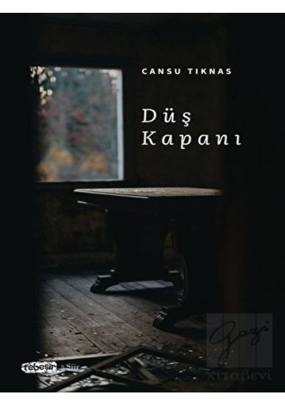Düş Kapanı - Cansu Tıknas - Tebeşir Yayınları