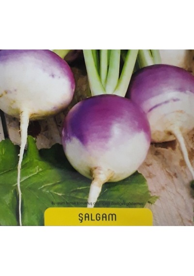 Turp 5 Gr Aykan Şalgam Tohumu