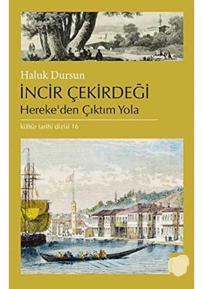 İncir Çekirdeği Herekeden Çıktım Yola - Haluk Dursun İlk Baskı 2014