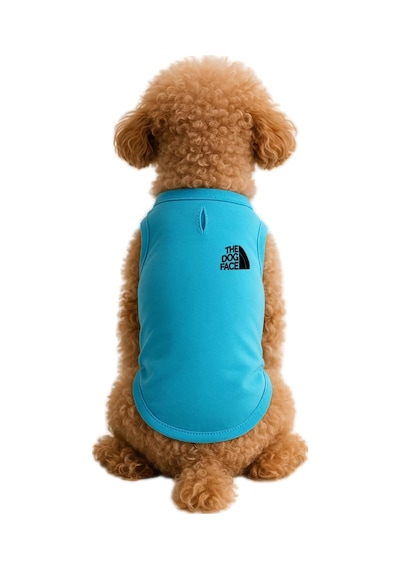 Kedi Ve Köpek Kıyafeti & Elbisesi Turkuaz The Dog Face Atlet Xl