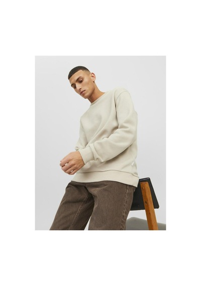 Jack & Jones Jjebradley Crewneck Sweat Günlük Erkek Sweatshirt Ekru