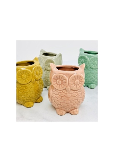 Mıknatıslı Mini Baykuş Saksı, Pembe