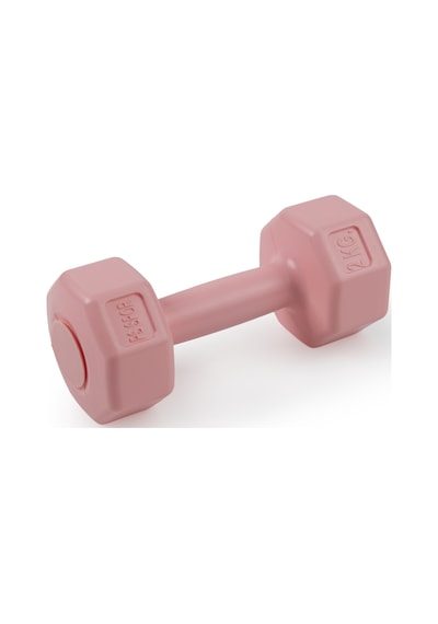 Psspor 2 Adet 2kg Pembe Renk Dambıl Seti 2 Adet 2kg Gönderim Yapılmaktadır