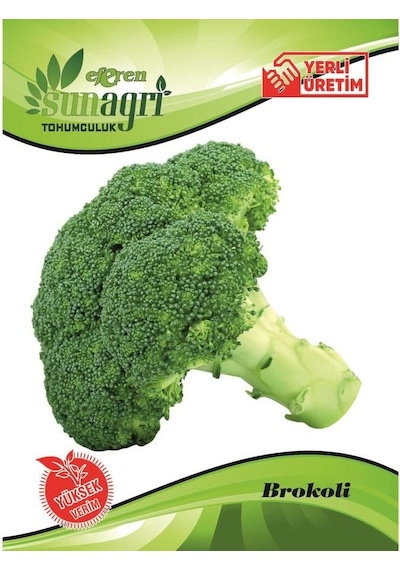 Sunagri Brokoli Tohumu-4098