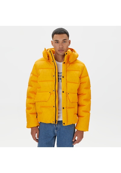 The North Face Rmst Sierra Erkek Sarı Mont Düz Nf0a832r56p1 6234730
