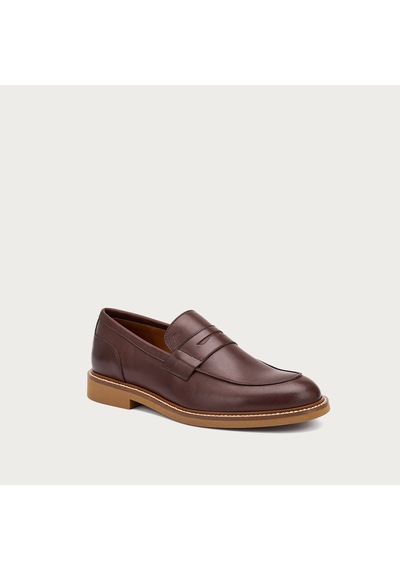 Castagno Sneaker Erkek 35m7 Frau Mousse Castagno