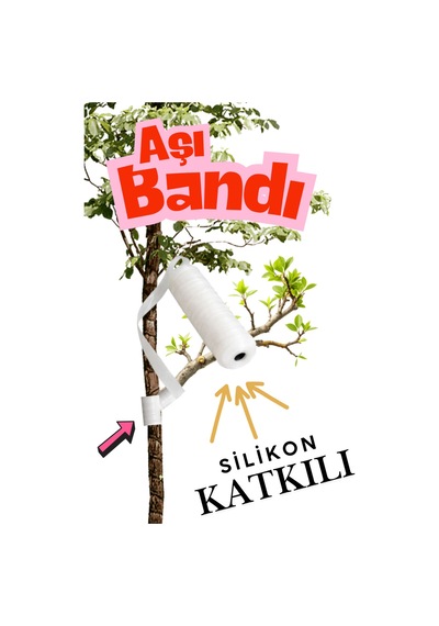 3 Adet Süper Kalite Esnek Aşı Bandı Kendinden Yapışkanlı Fidan Aşı Bağı Esnek Göz Aşı Bandı 100 Mt