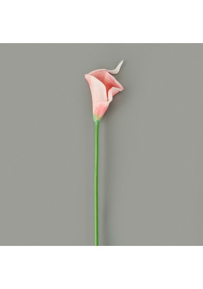 Dal Gala Çiçeği - Asorti - 33 Cm Çok Renkli