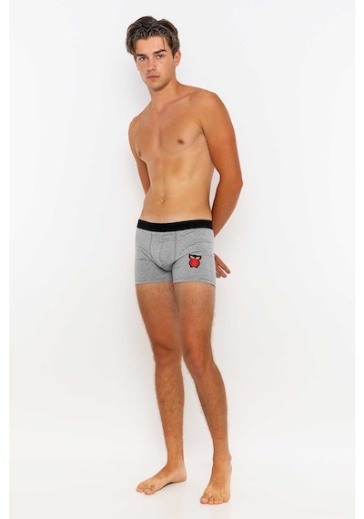 Redowl Baykuş Baskılı Gri 2'Li Boxer Gri