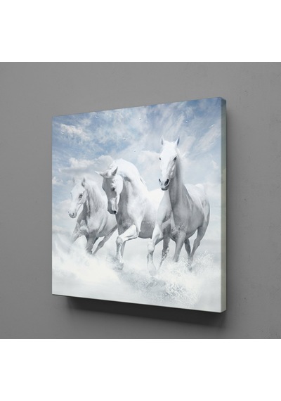 Beyaz Atlar Ülkesi Kanvas Tablo 25x25cm