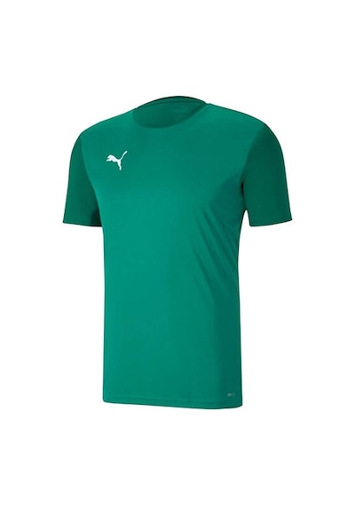 Puma Teamgoal 23 Sideline Tee Pepper Green-po Erkek Futbol Antrenman Tişörtü 65648405 Yeşil Yeşil